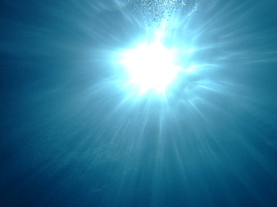 d0102664_141324.jpg