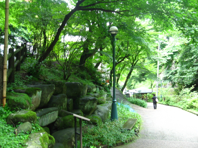 d0070473_10192359.jpg