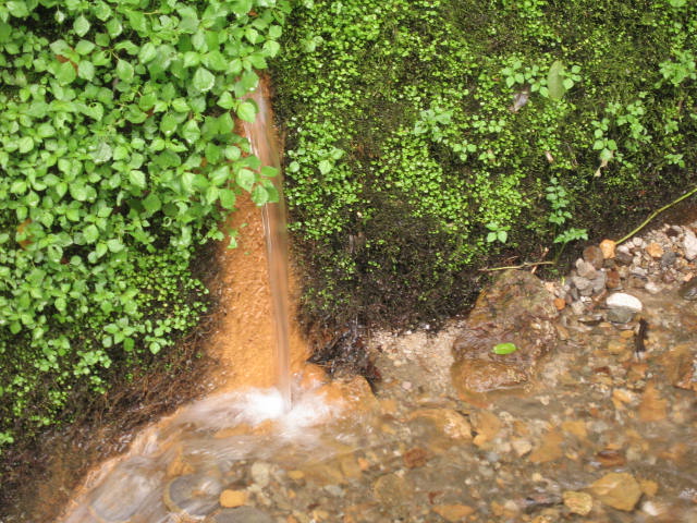 d0070473_10212779.jpg