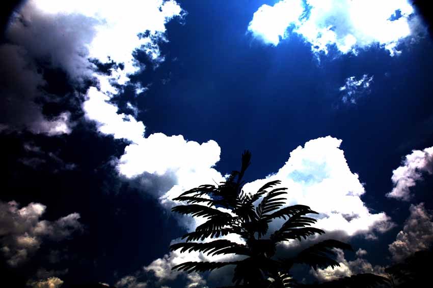 f0155580_12525372.jpg