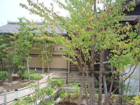 d0098183_1242679.jpg