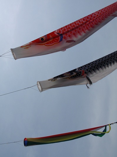 c0105785_10155928.jpg
