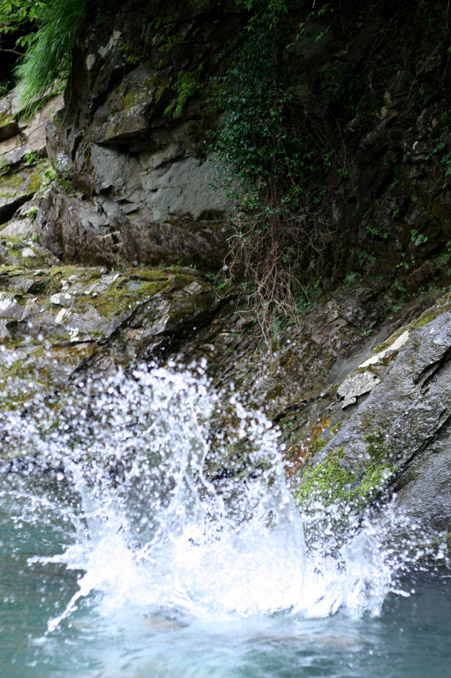 d0151787_12233373.jpg