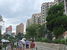 b0097689_8412224.jpg