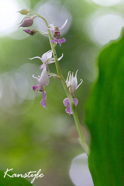 c0038290_210114.jpg