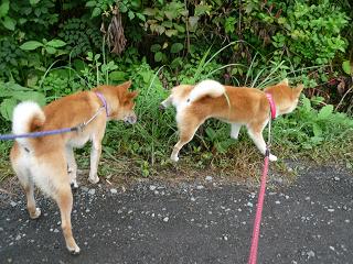 c0123890_14504982.jpg