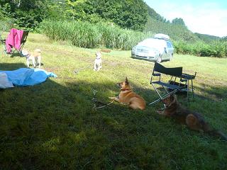 c0123890_20114068.jpg