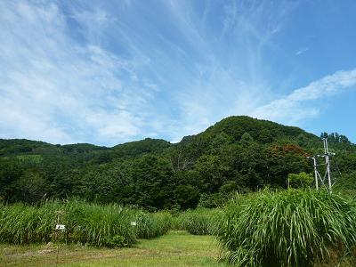 c0123890_2095413.jpg