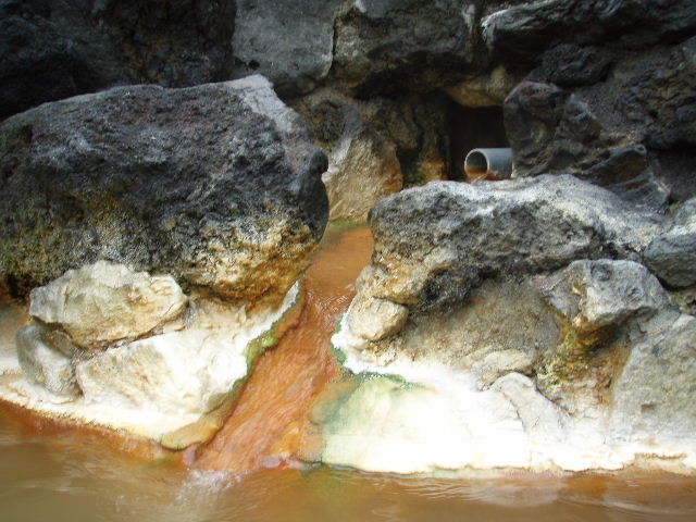 a0067991_952454.jpg