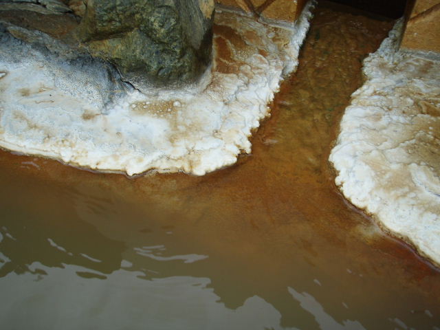 a0067991_9573513.jpg