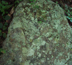 b0099994_6581539.jpg