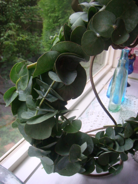 f0137694_0103134.jpg