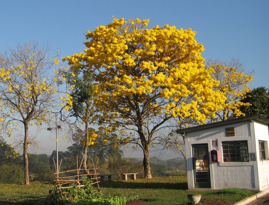 e0118096_8314722.jpg
