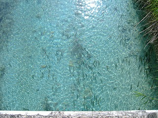 c0107997_041251.jpg
