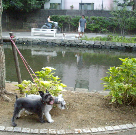 c0138198_2132215.jpg