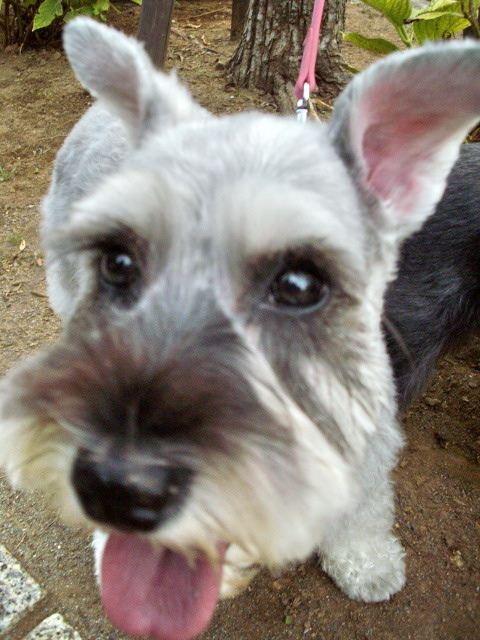c0138198_21341185.jpg