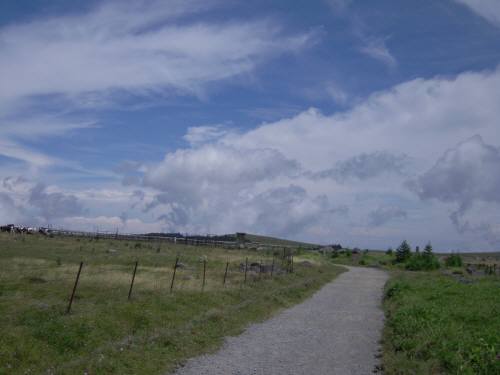 d0145798_20304342.jpg