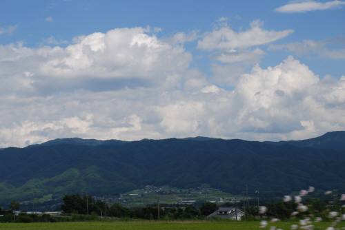 d0145798_2054958.jpg