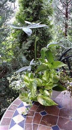 c0152002_21361448.jpg