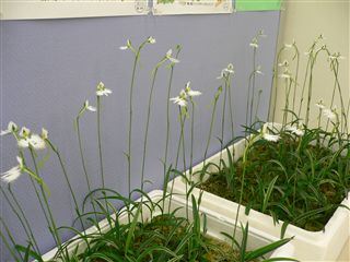 b0149303_2049655.jpg