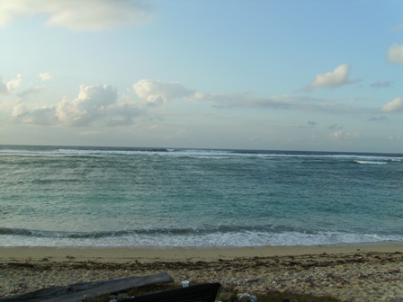 a0099804_11595840.jpg