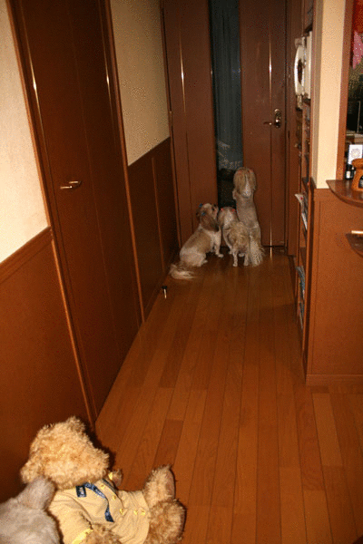 c0011204_2344225.gif