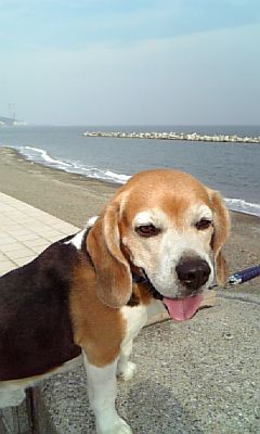 a0013905_22594985.jpg