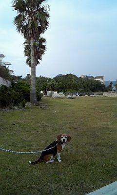 a0013905_231579.jpg