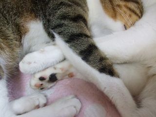 c0103205_2217463.jpg