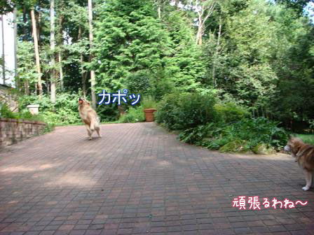 f0064906_17231917.jpg