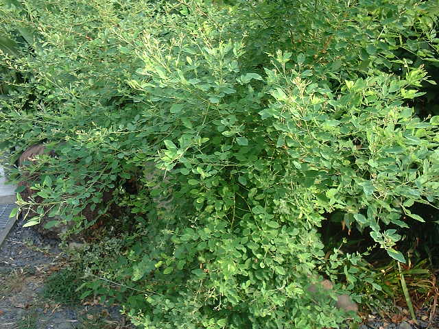 f0173908_12554891.jpg