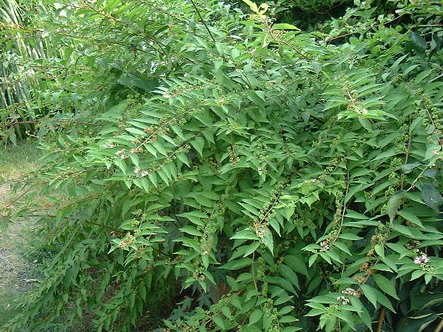 f0173908_12564968.jpg