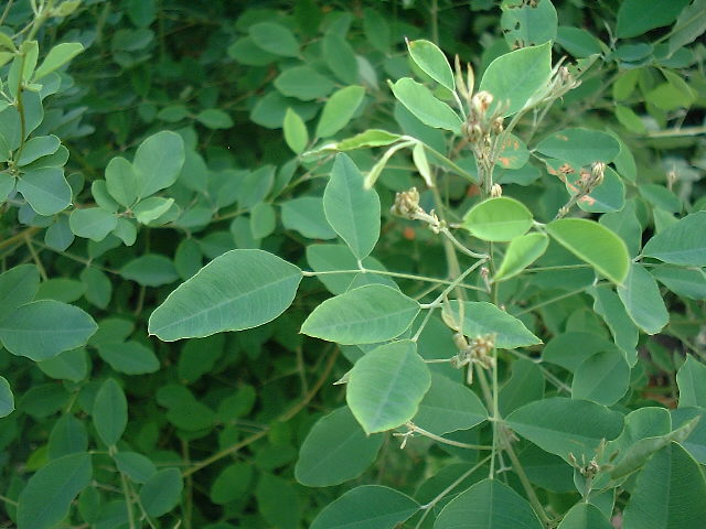 f0173908_13344484.jpg