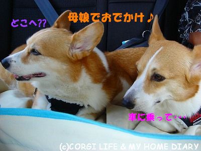 c0153410_113410100.jpg