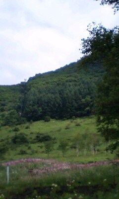 d0003116_2134199.jpg