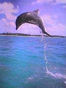 d0035823_7402548.jpg