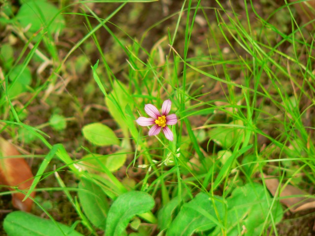 d0035823_8223811.jpg