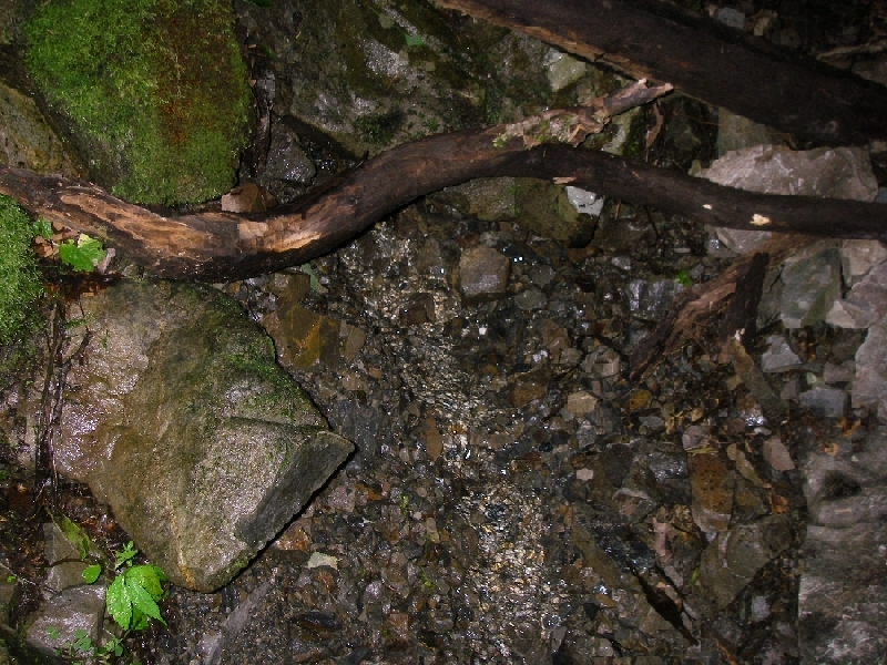 b0062024_84755.jpg