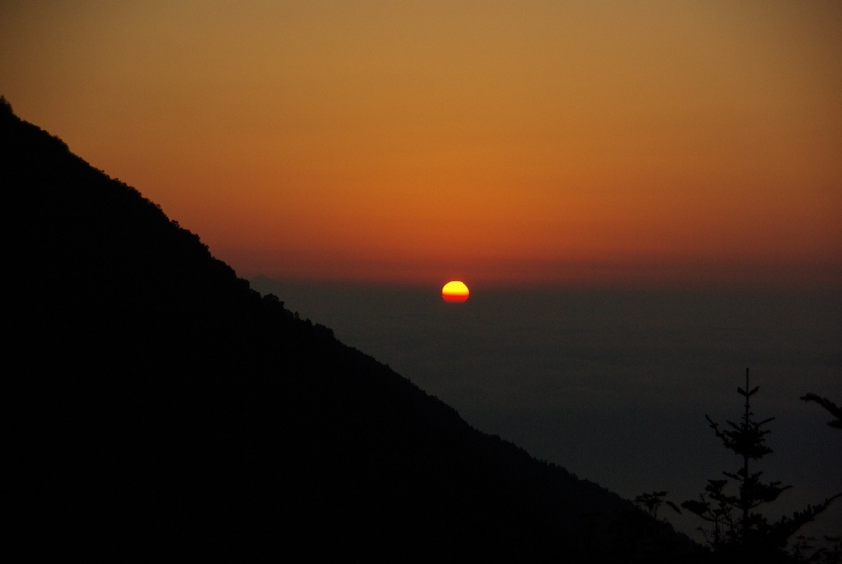 b0062024_8482924.jpg