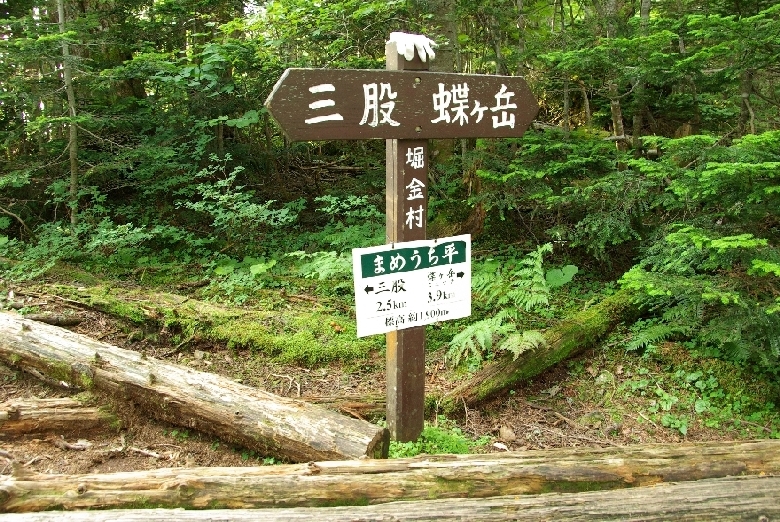 b0062024_904579.jpg