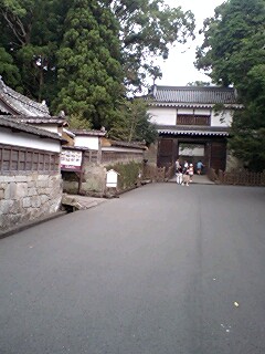 e0103831_21322599.jpg