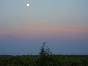 c0019338_1703176.jpg