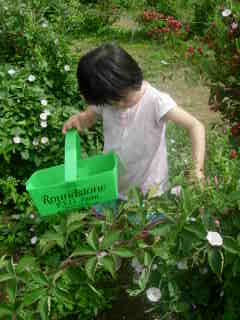 f0019444_22403280.jpg