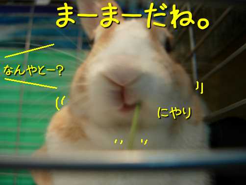a0095546_22521040.jpg