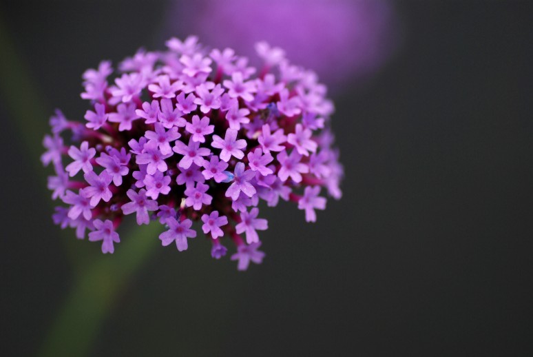 e0009147_13142339.jpg