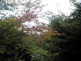 a0079652_22223546.jpg