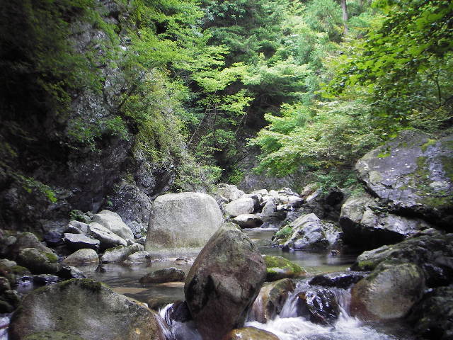 a0079652_223259.jpg