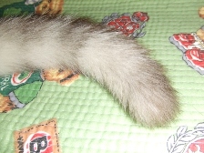 c0081552_217536.jpg