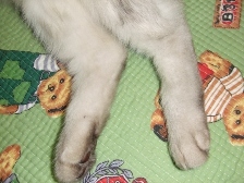 c0081552_218535.jpg