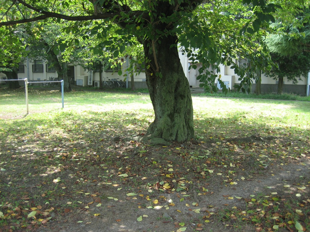 c0138553_14305744.jpg